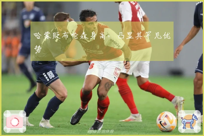 哈蒙贬布伦森身高，凸显其罕见优势